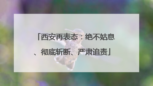 西安再表态：绝不姑息、彻底斩断、严肃追责