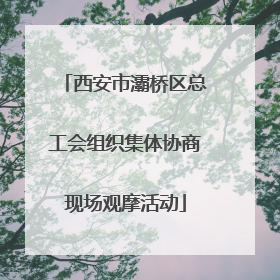 西安市灞桥区总工会组织集体协商现场观摩活动