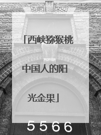 西峡猕猴桃 中国人的阳光金果
