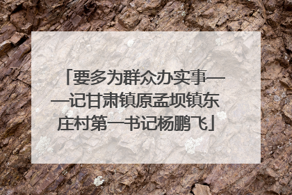 要多为群众办实事——记甘肃镇原孟坝镇东庄村第一书记杨鹏飞