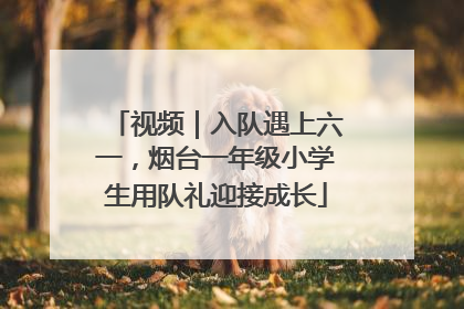 视频｜入队遇上六一，烟台一年级小学生用队礼迎接成长