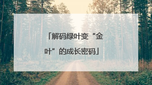 解码绿叶变“金叶”的成长密码