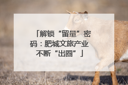 解锁“留量”密码：肥城文旅产业不断“出圈”