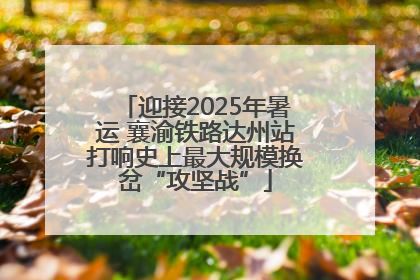 迎接2025年暑运 襄渝铁路达州站打响史上最大规模换岔“攻坚战”