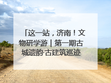 这一站，济南！文物研学游｜第一期古城遗韵·古建筑巡迹之旅圆满结束