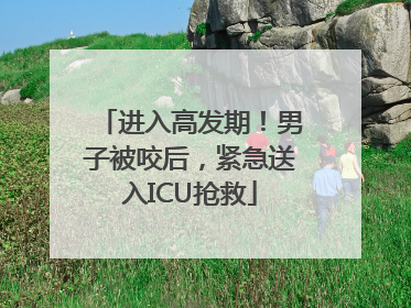 进入高发期！男子被咬后，紧急送入ICU抢救