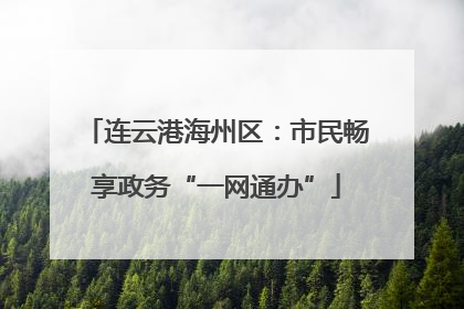 连云港海州区：市民畅享政务“一网通办”