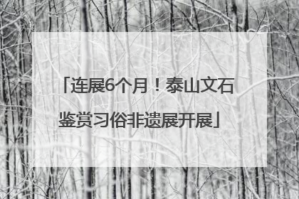 连展6个月！泰山文石鉴赏习俗非遗展开展