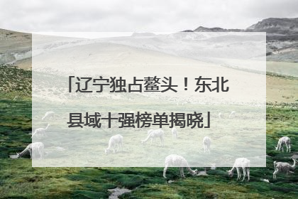 辽宁独占鳌头！东北县域十强榜单揭晓