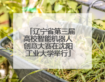 辽宁省第三届高校智能机器人创意大赛在沈阳工业大学举行