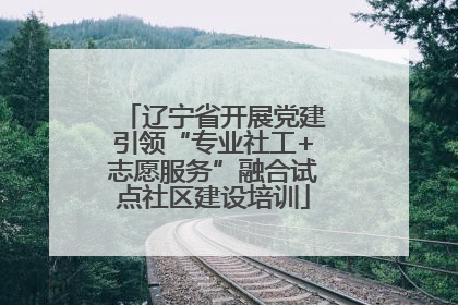 辽宁省开展党建引领“专业社工+志愿服务”融合试点社区建设培训