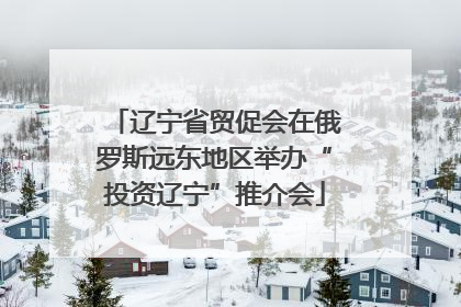 辽宁省贸促会在俄罗斯远东地区举办“投资辽宁”推介会