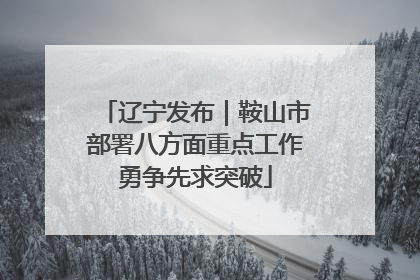 辽宁发布｜鞍山市部署八方面重点工作勇争先求突破