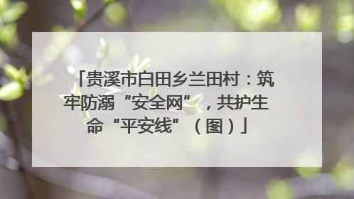 贵溪市白田乡兰田村：筑牢防溺“安全网”，共护生命“平安线”（图）