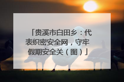贵溪市白田乡：代表织密安全网，守牢假期安全关（图）