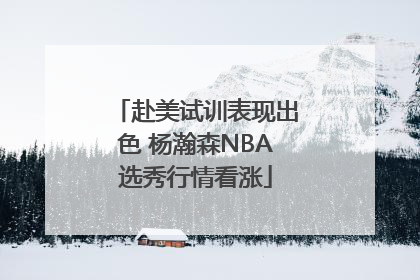 赴美试训表现出色 杨瀚森NBA选秀行情看涨
