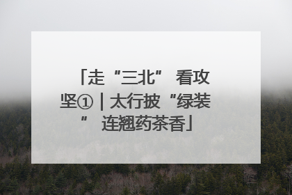 走“三北” 看攻坚①｜太行披“绿装” 连翘药茶香