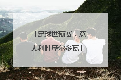足球世预赛：意大利胜摩尔多瓦