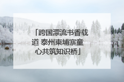 跨国漂流书香载道 泰州柬埔寨童心共筑知识桥