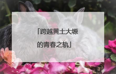 跨越黄土大塬的青春之轨