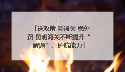 送政策 畅通关 稳外贸 昆明海关不断提升“解题”、护航能力