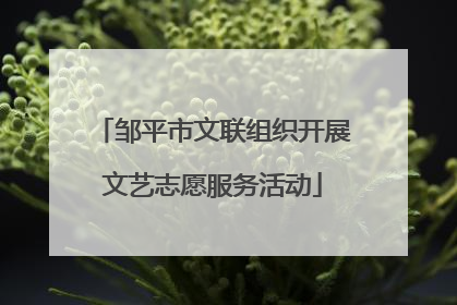 邹平市文联组织开展文艺志愿服务活动