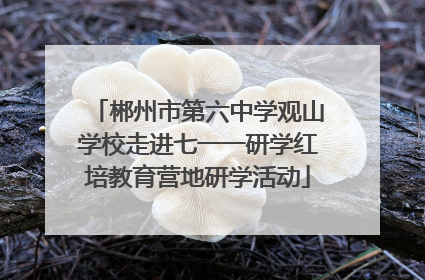 郴州市第六中学观山学校走进七一一研学红培教育营地研学活动