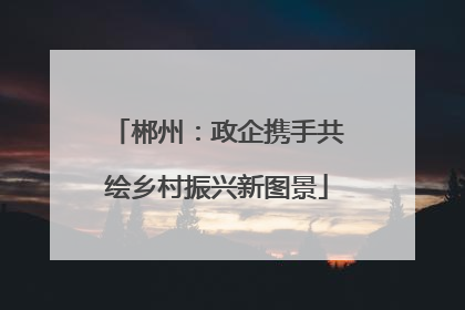 郴州：政企携手共绘乡村振兴新图景