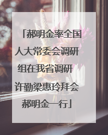 郝明金率全国人大常委会调研组在我省调研 许勤梁惠玲拜会郝明金一行