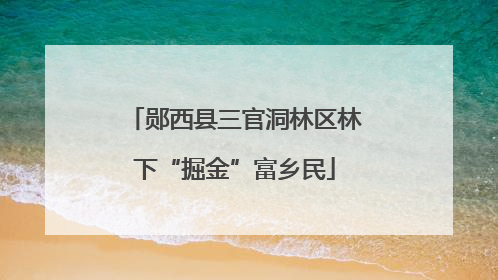 郧西县三官洞林区林下“掘金”富乡民