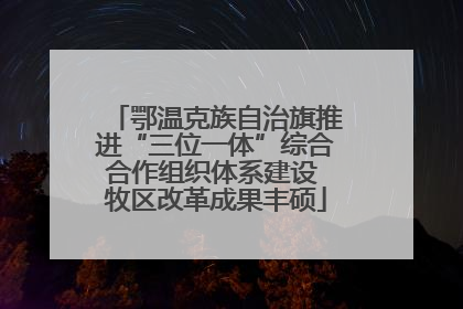 鄂温克族自治旗推进“三位一体”综合合作组织体系建设 牧区改革成果丰硕