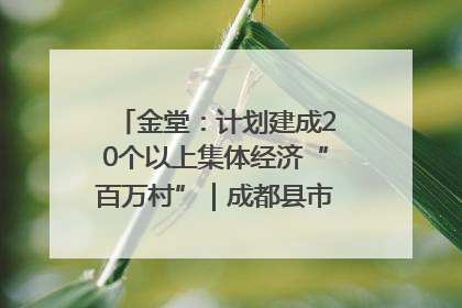 金堂：计划建成20个以上集体经济“百万村”｜成都县市新城高质量发展