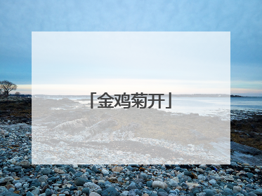 金鸡菊开