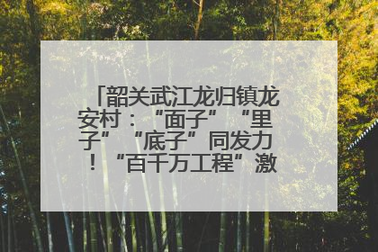 韶关武江龙归镇龙安村：“面子”“里子”“底子”同发力！“百千万工程”激活乡村新动能