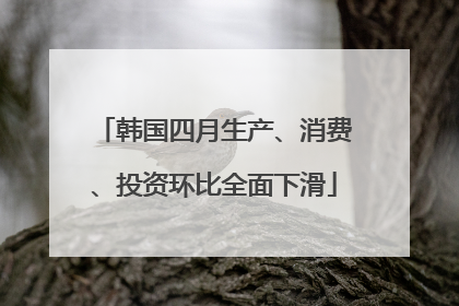 韩国四月生产、消费、投资环比全面下滑