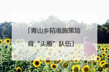 青山乡精准施策培育“头雁”队伍