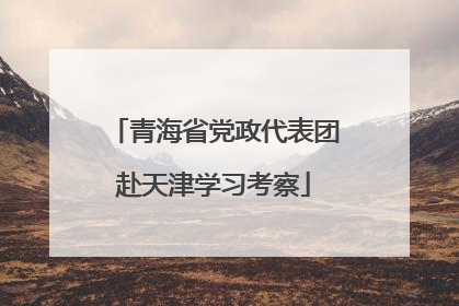 青海省党政代表团赴天津学习考察