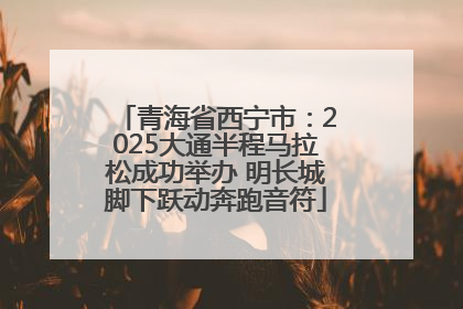 青海省西宁市：2025大通半程马拉松成功举办 明长城脚下跃动奔跑音符