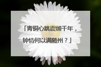 青铜心跳震颤千年，钟情何以满随州？