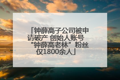 钟薛高子公司被申请破产 创始人账号“钟薛高老林”粉丝仅1800余人