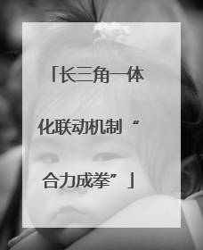 长三角一体化联动机制“合力成拳”