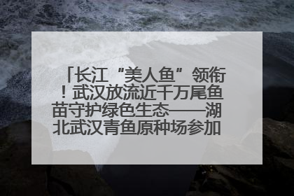 长江“美人鱼”领衔！武汉放流近千万尾鱼苗守护绿色生态——湖北武汉青鱼原种场参加2025年“全国放鱼日”增殖放流活动