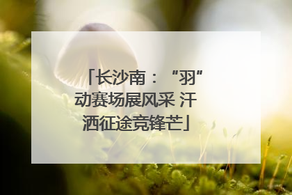 长沙南：“羽”动赛场展风采 汗洒征途竞锋芒