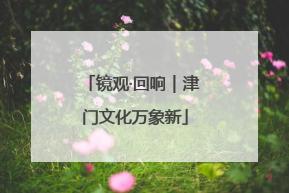 镜观·回响｜津门文化万象新