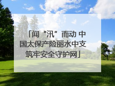闻“汛”而动 中国太保产险丽水中支筑牢安全守护网