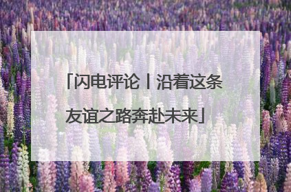 闪电评论丨沿着这条友谊之路奔赴未来