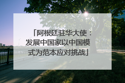 阿根廷驻华大使：发展中国家以中国模式为范本应对挑战