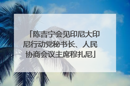 陈吉宁会见印尼大印尼行动党秘书长、人民协商会议主席穆扎尼