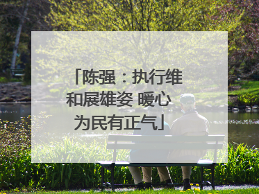 陈强：执行维和展雄姿 暖心为民有正气