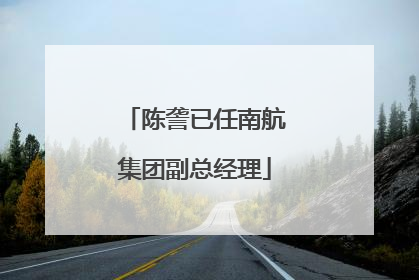 陈詟已任南航集团副总经理